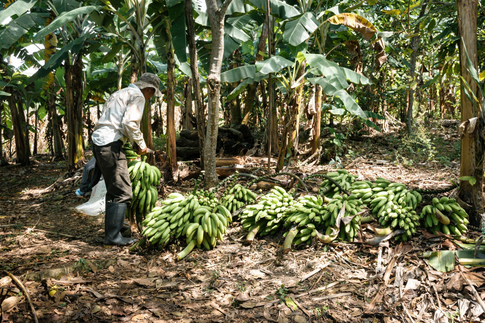 Agriculture Durable