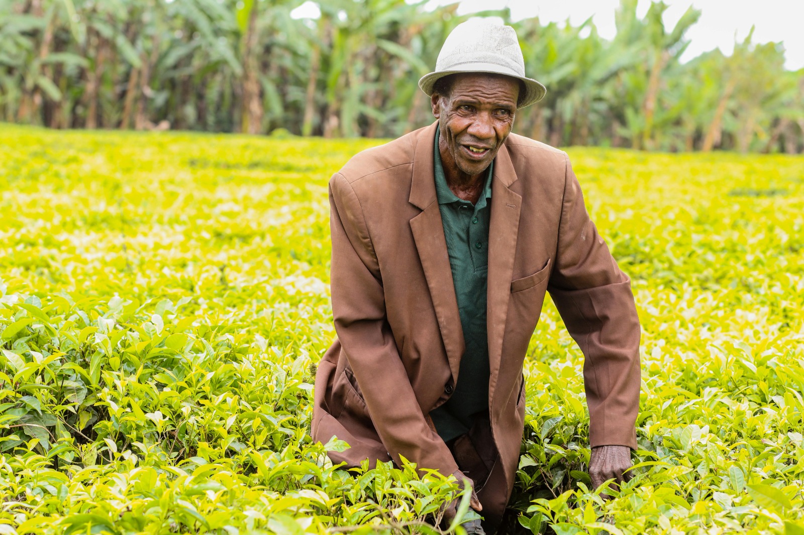 Agriculteur Africain sur le terrain