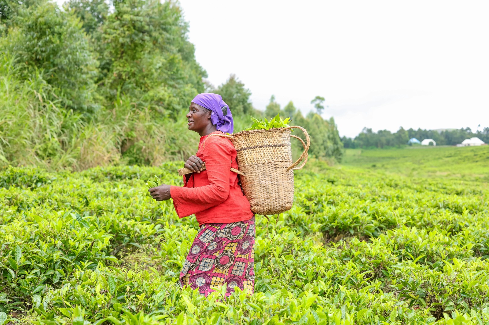 Agriculture Durable